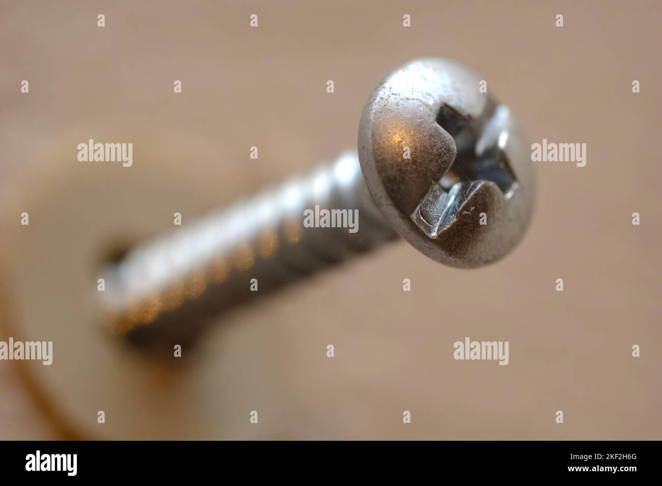 Makrobild einer Schraube in einer Wand. Selektiver Fokus. Stockfoto