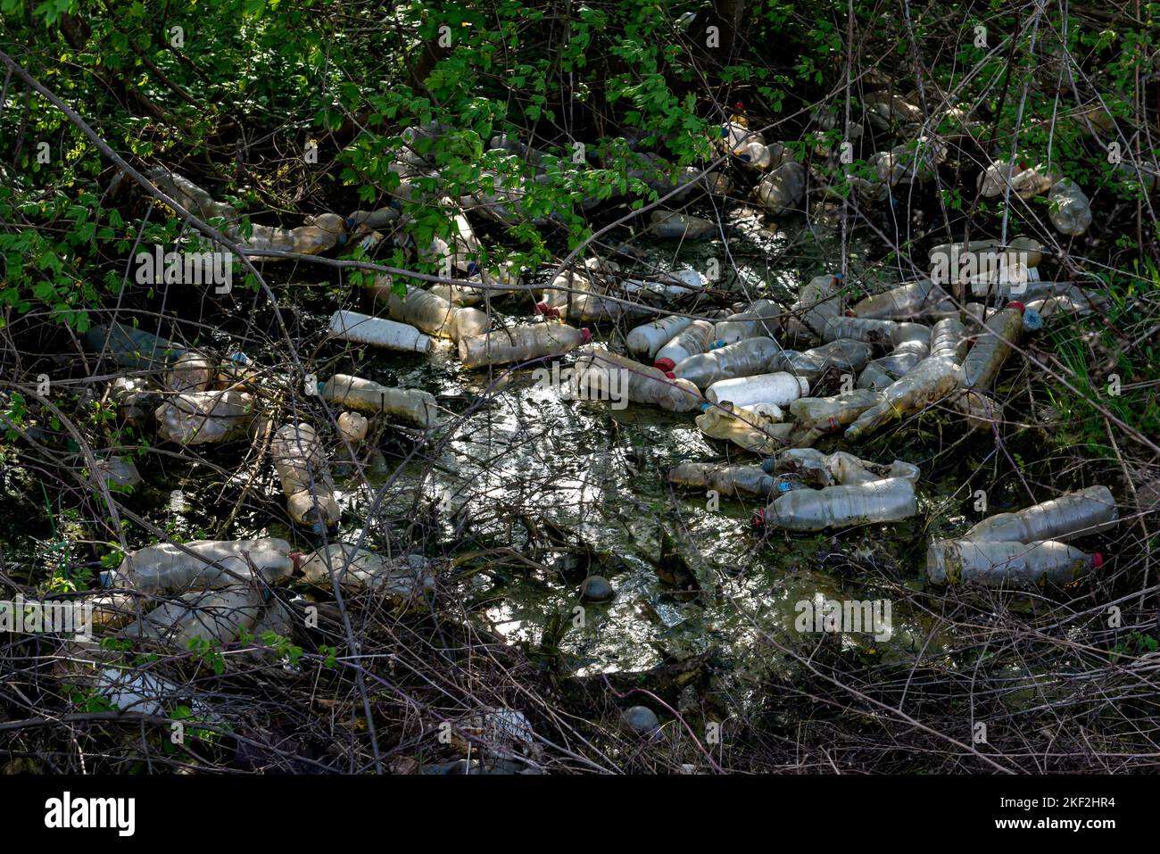 Häufen Sie eine leere Plastikflasche in die Natur geworfen. Umweltverschmutzung. Stockfoto