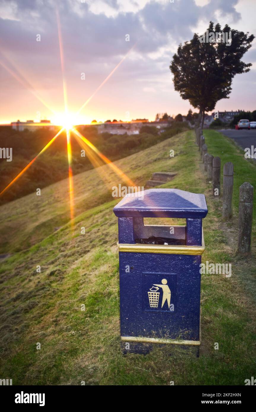 Mülltonnen auf einem grünen Hügel mit windgepeitschtem Baum und Sonnenuntergang im Hintergrund. Townhill, Swansea, Großbritannien Stockfoto