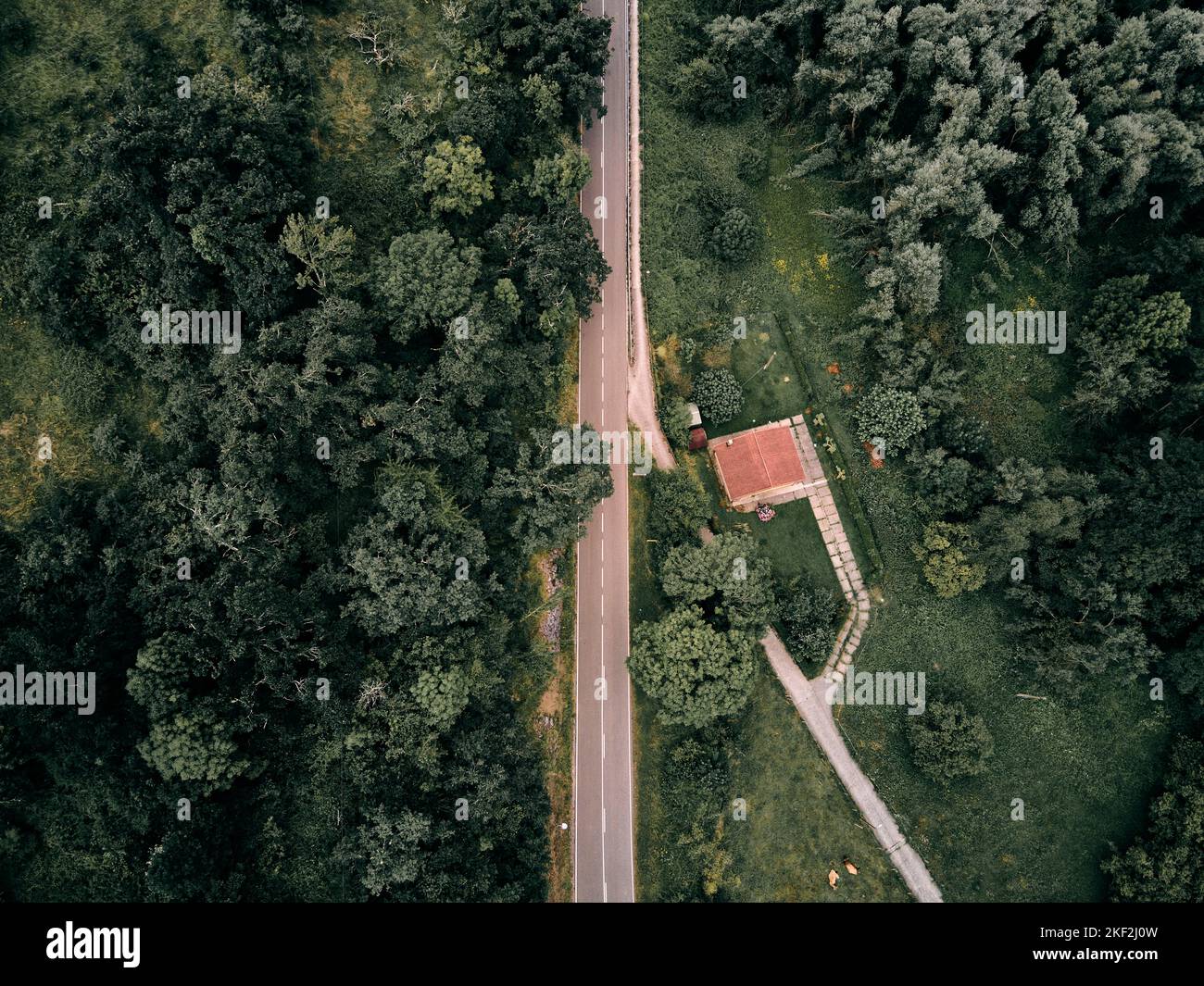 Drohnenansicht der einsamen geraden schmalen Straße in der Nähe des Hauses zwischen Bäumen und Grün Stockfoto