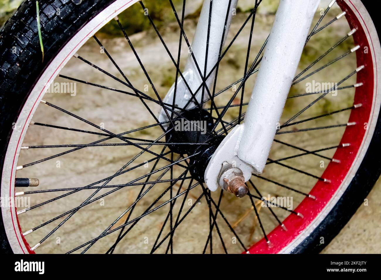 Fahrrad für Sprünge und Tricks BMX im Skatepark. Sportfahrrad aus nächster Nähe. Radfahren. Stockfoto