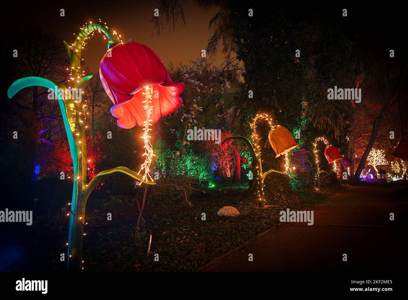 Am 15. November 2022 werden am Eingang des Botanischen Gartens in Warschau, Polen, Blumen mit LED-Beleuchtung angezeigt. Der botanische Garten von Th Stockfoto