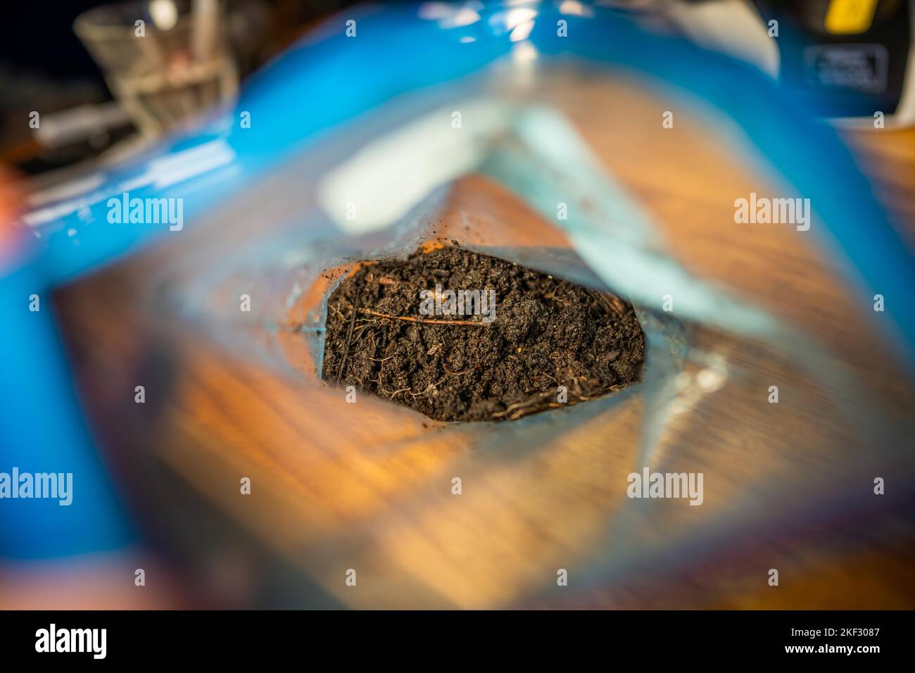 Durchführung eines Bodentests in einem Heimlabor. Boden auf einem Tisch. Brauner Schmutz auf einem Feld. Erdhaufen und Kompost Stockfoto