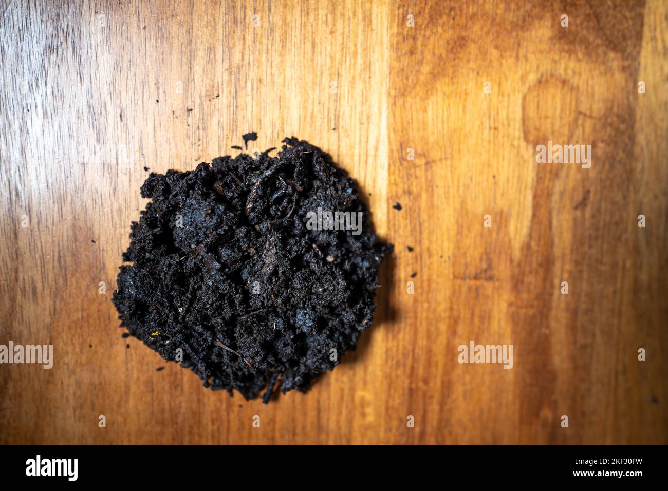 Durchführung eines Bodentests in einem Heimlabor. Boden auf einem Tisch. Brauner Schmutz auf einem Feld. Erdhaufen und Kompost Stockfoto