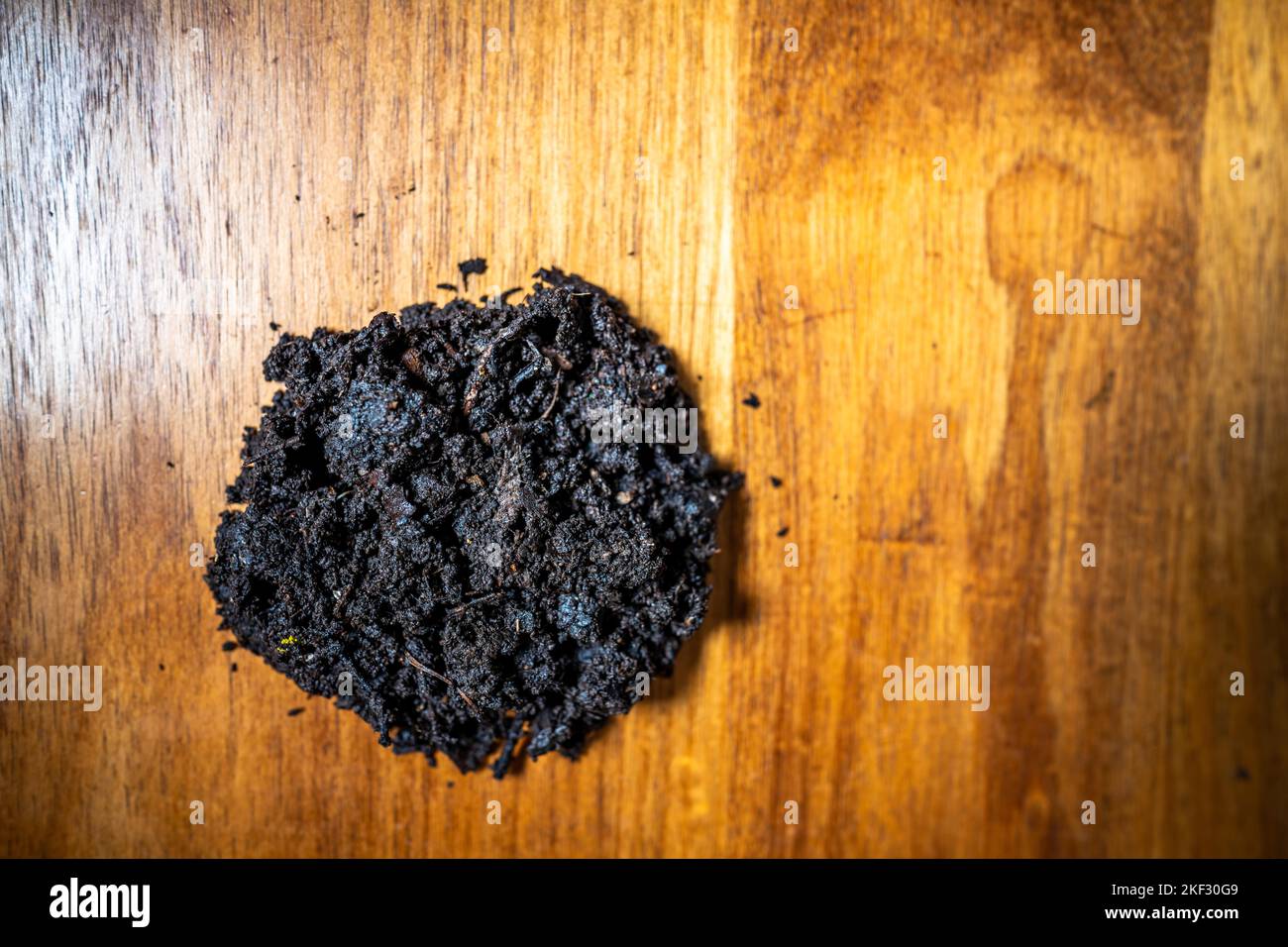 Durchführung eines Bodentests in einem Heimlabor. Boden auf einem Tisch. Brauner Schmutz auf einem Feld. Erdhaufen und Kompost Stockfoto