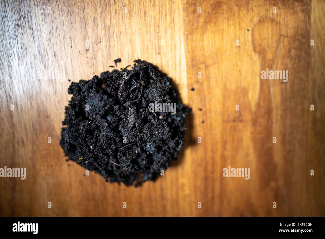 Durchführung eines Bodentests in einem Heimlabor. Boden auf einem Tisch. Brauner Schmutz auf einem Feld. Erdhaufen und Kompost Stockfoto