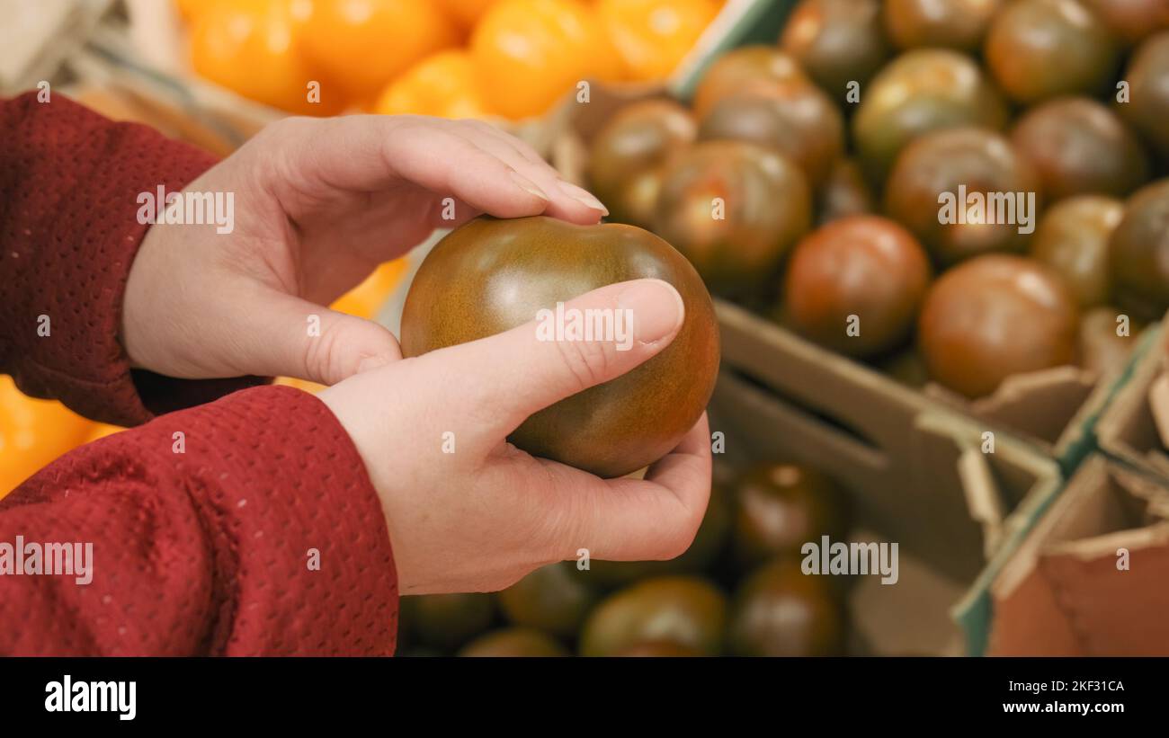 Frauen kaufen mit frischen, reifen schwarzen Tomaten. Nahaufnahme Stockfoto