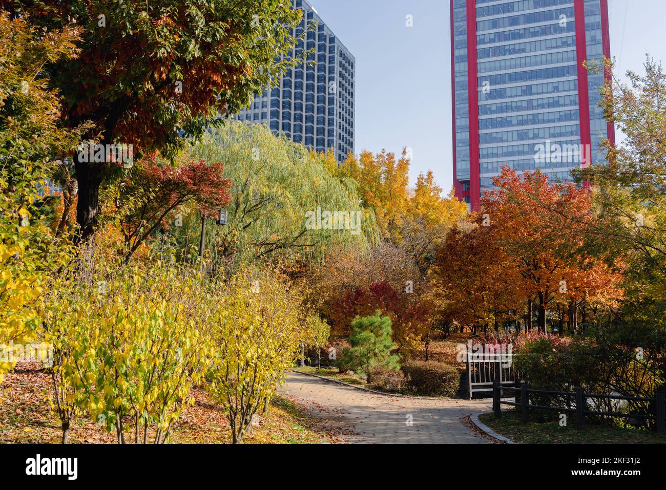Herbst des Yeouido Parks in Seoul, Korea Stockfoto