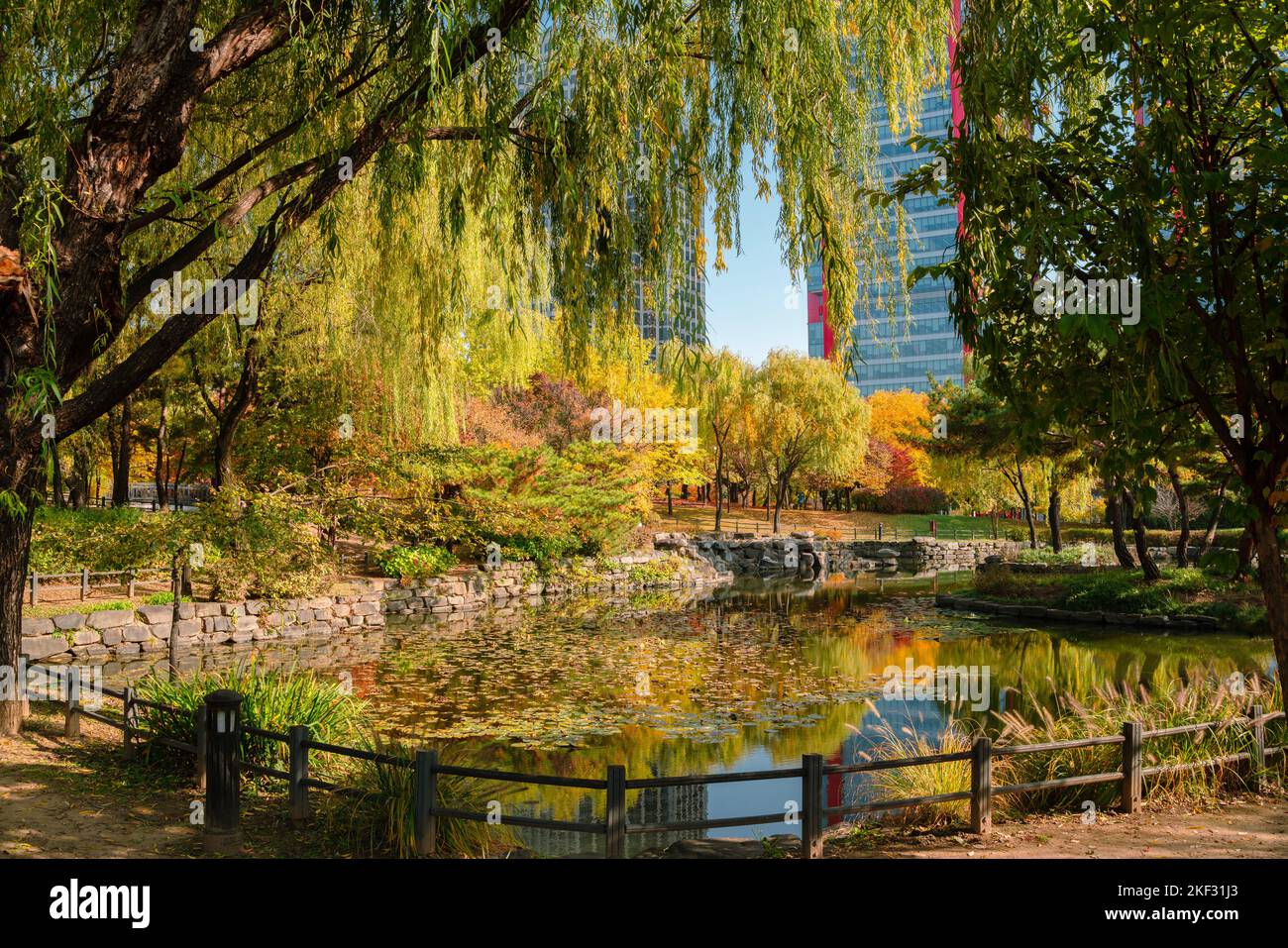 Herbst des Yeouido Parks in Seoul, Korea Stockfoto