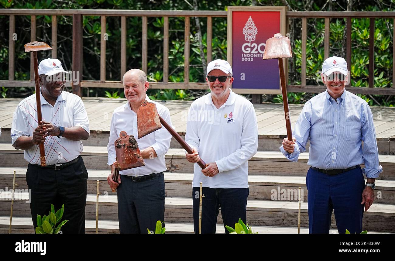 Nusa Dua, Indonesien. 16.. November 2022. 16. November 2022, Indonesien, Nusa Dua/Bali: Cyril Ramaphosa (l-r), Präsident von Südafrika, Bundeskanzler Olaf Scholz (SPD), Premierminister Anthony Albanese und US-Präsident Joe Biden zeigen nach einer Pflanzkampagne am Rande des Gipfels von G20 im Mangrovenwald Tahura Ngurah Rai ihre Schaufeln. Die "Gruppe der 20" umfasst die wichtigsten Wirtschaftsmächte aller Kontinente, darunter die USA, China, Russland und Deutschland. Foto: Kay Nietfeld/dpa Kredit: dpa picture Alliance/Alamy Live News Stockfoto