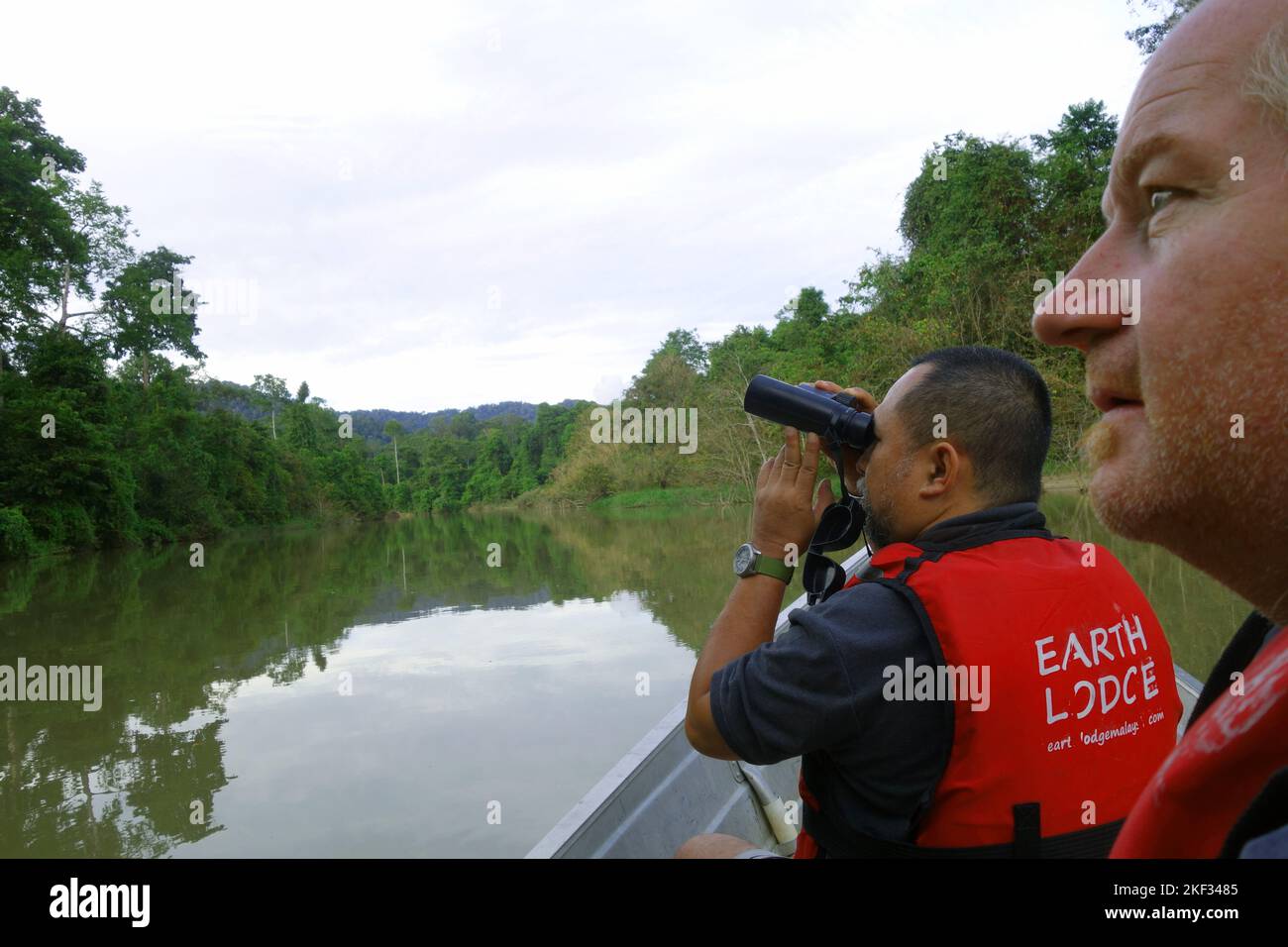 Führer und Gäste beobachten Wildtiere im Dschungel von einem Boot auf dem Muda River, Ulu Muda Earth Lodge, Malaysia. Kein MR oder PR Stockfoto