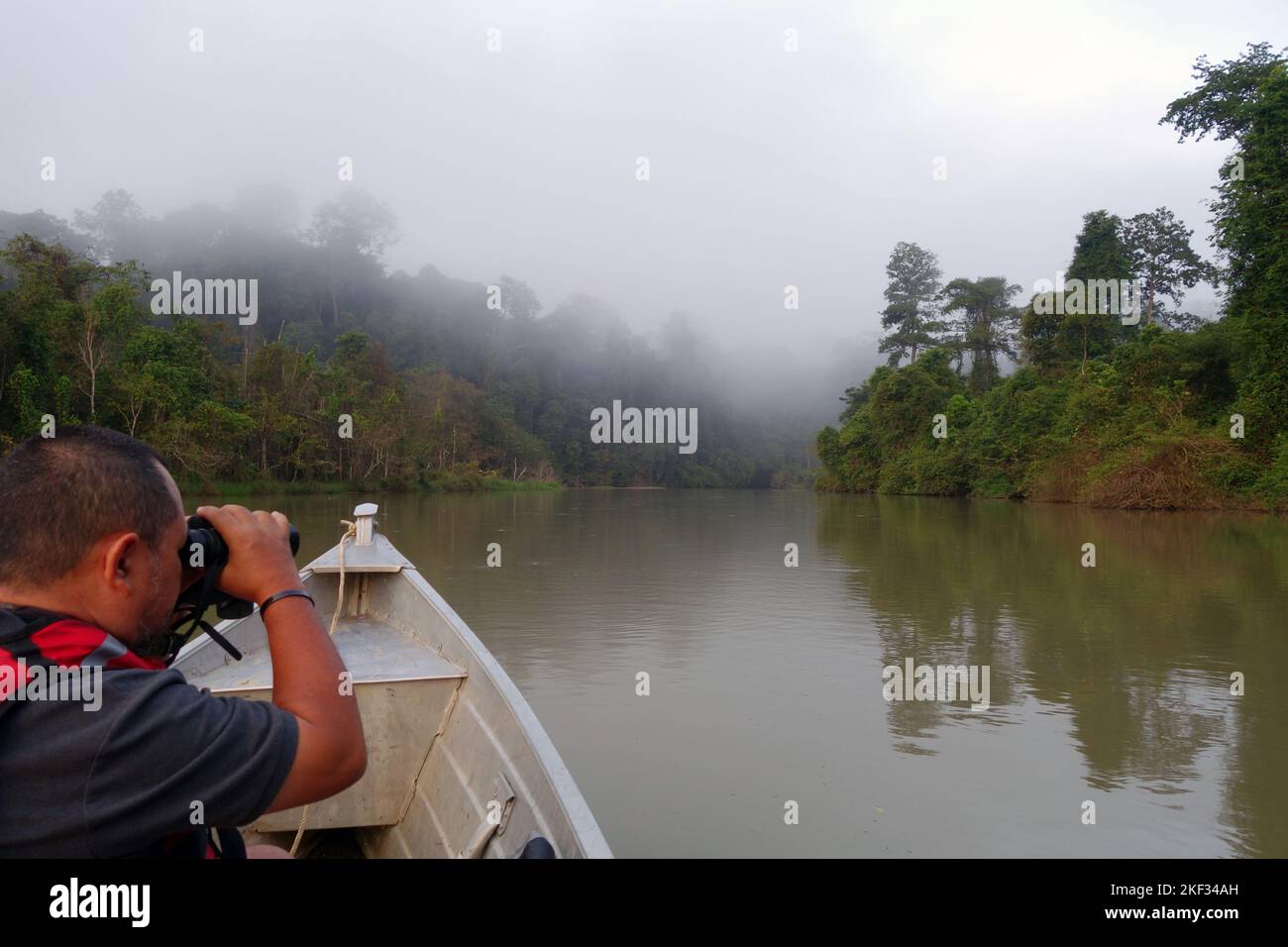 Führen Sie die Beobachtung von Wildtieren im Dschungel vom Boot auf dem Muda River, Ulu Muda Earth Lodge, Malaysia. Kein MR oder PR Stockfoto