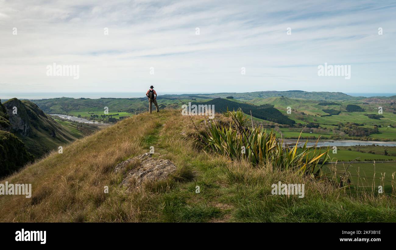 Mann, der auf dem Hügel des Te Mata Peak Track steht und die Aussicht auf die umliegende Hawke’s Bay Region betrachtet. Neuseeland. Stockfoto