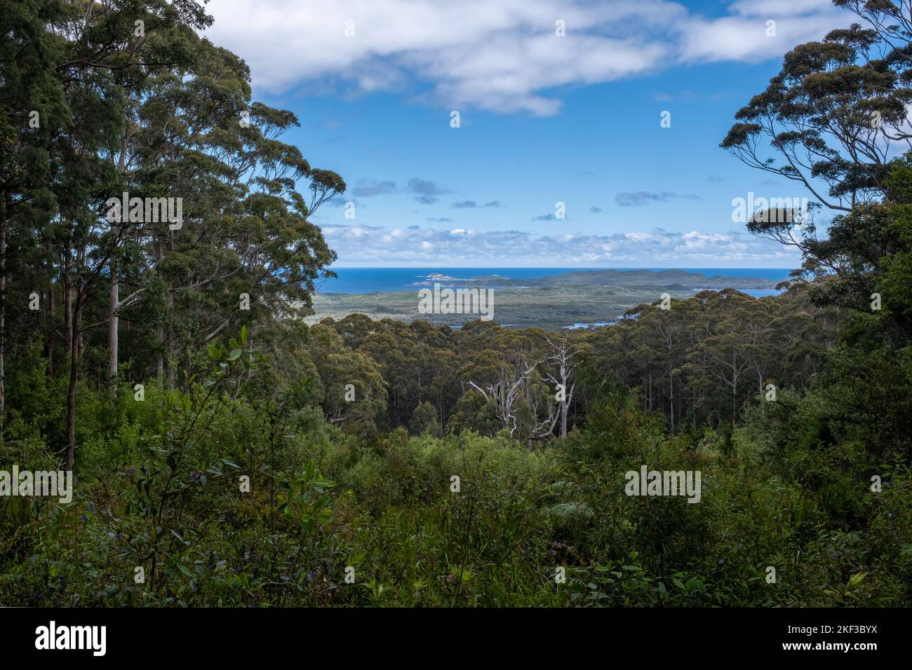 Blick auf die Küste vom Hilltop Lookout, Walpole-Nornalup National Park, Walpole WA Stockfoto