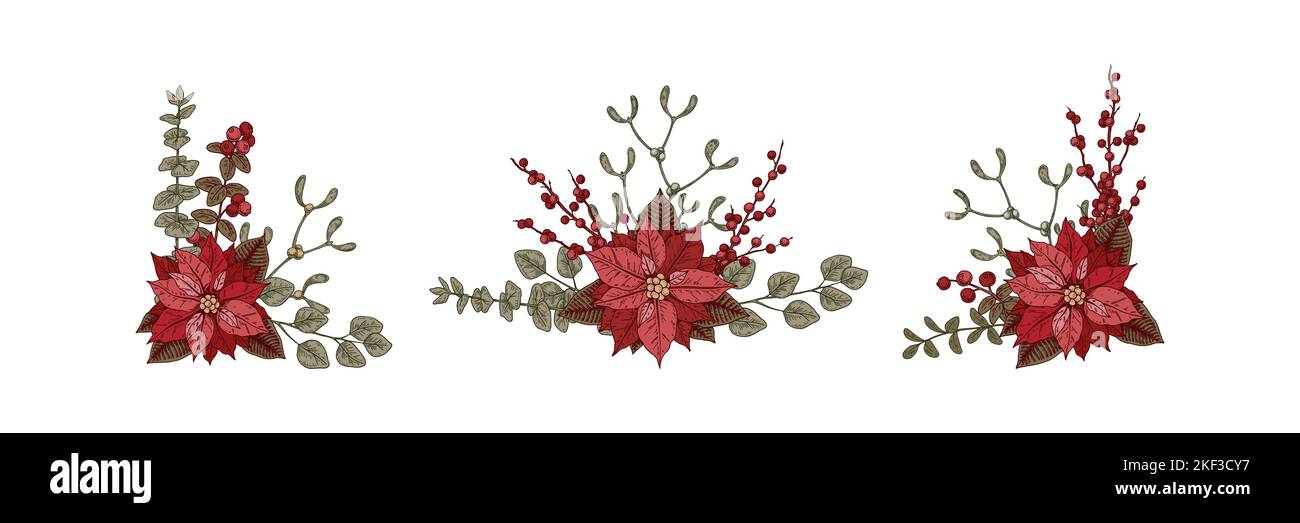 Set von Weihnachtsbotanik Kompositionen mit Weihnachtsstern Blume und Mistel. Vektorgrafik im Skizzenstil isoliert auf weißem Hintergrund Stock Vektor