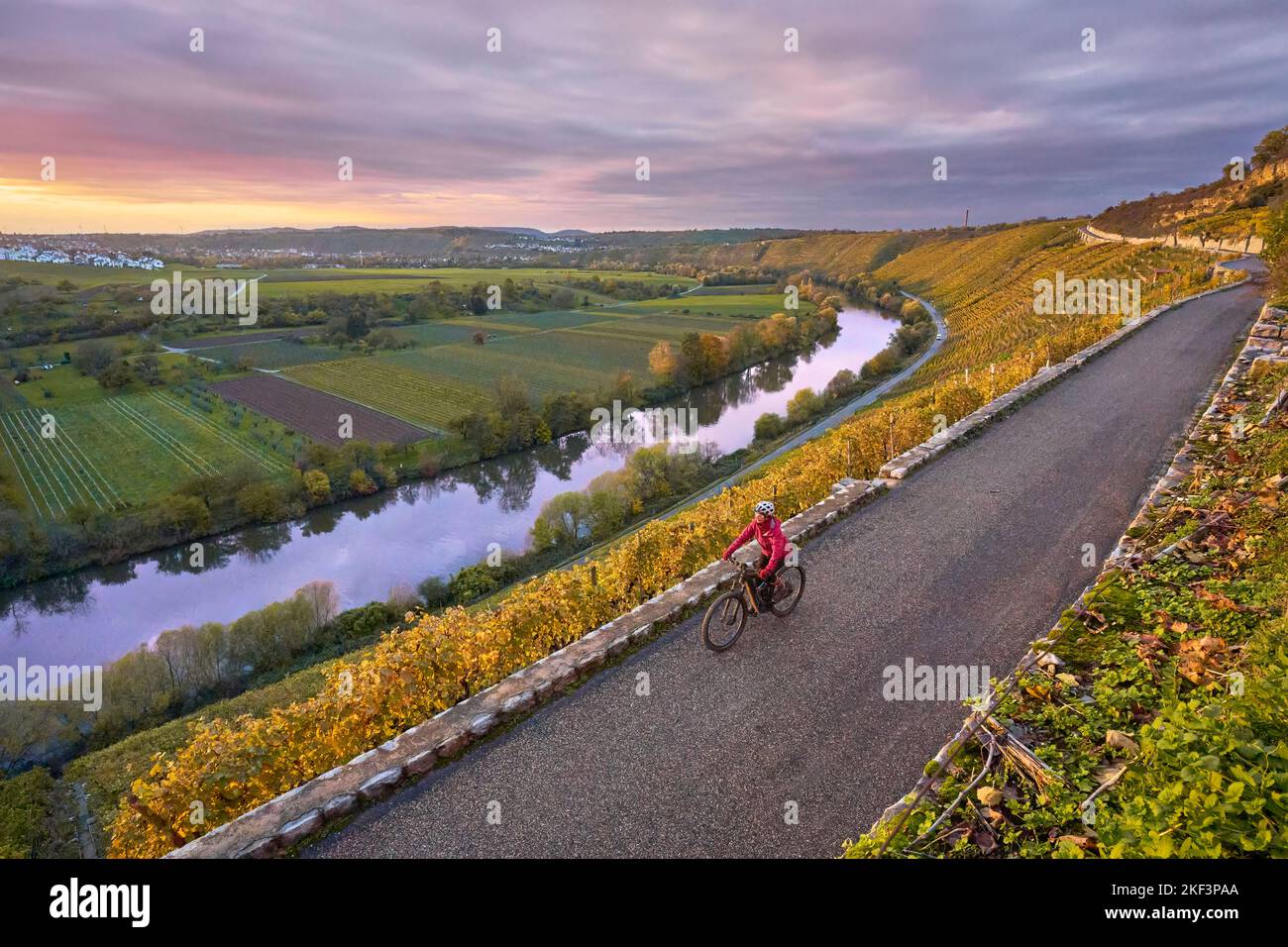 Nette Seniorin, die mit ihrem elektrischen Mountainbike in den steilen, im Herbst farbigen Weinbergen des Neckar-Tals, Baden-Württemberg, Deutschland, fährt Stockfoto