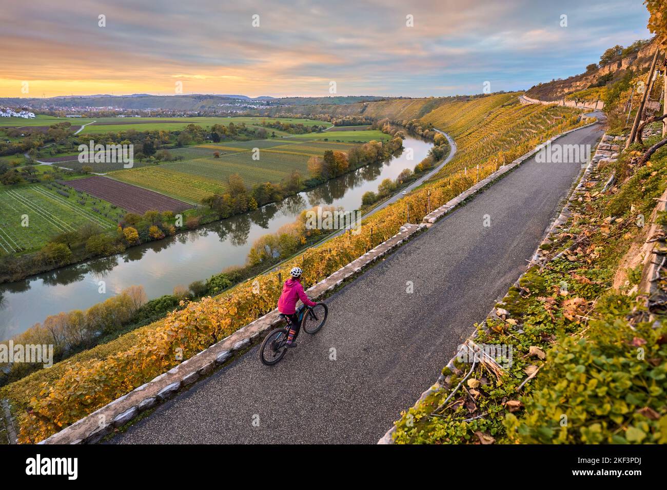 Nette Seniorin, die mit ihrem elektrischen Mountainbike in den steilen, im Herbst farbigen Weinbergen des Neckar-Tals, Baden-Württemberg, Deutschland, fährt Stockfoto