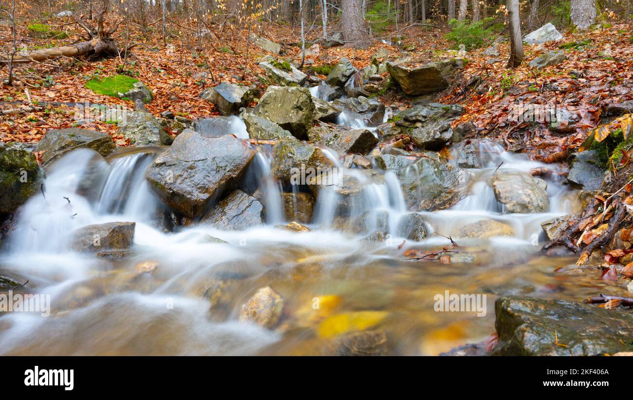 Kleine Waldbach-Kaskade. Langzeitbelichtung. Stockfoto
