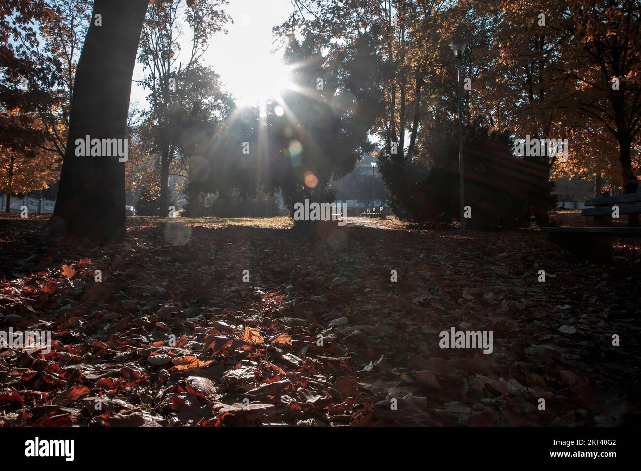 Stadtpark im Herbst Stockfoto
