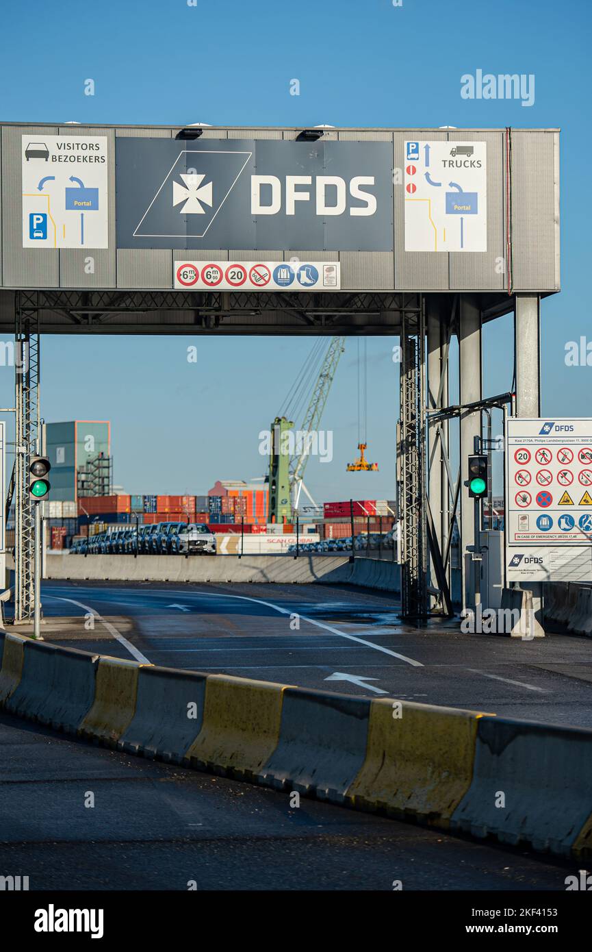 Abbildung Aufnahme während einer Einführungsveranstaltung des ersten Elektro-Lkw, der am Mittwoch, 16. November 2022, in der DFDS-Flotte in Betrieb genommen wird, Gent. DFDS setzt seinen ersten flottenweiten Elektro-Lkw ein. Damit kommt das Unternehmen der Schaffung eines grünen Korridors in einem der zentralen Logistikzentren Europas, insbesondere zwischen dem Nordseehafen (Gent) und Göteborg, einen Schritt näher. BELGA FOTO JONAS ROOSENS Stockfoto