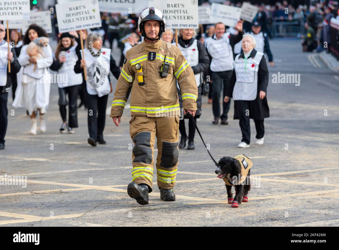 Dog wearing boots Fotos und Bildmaterial in hoher Auflösung Alamy