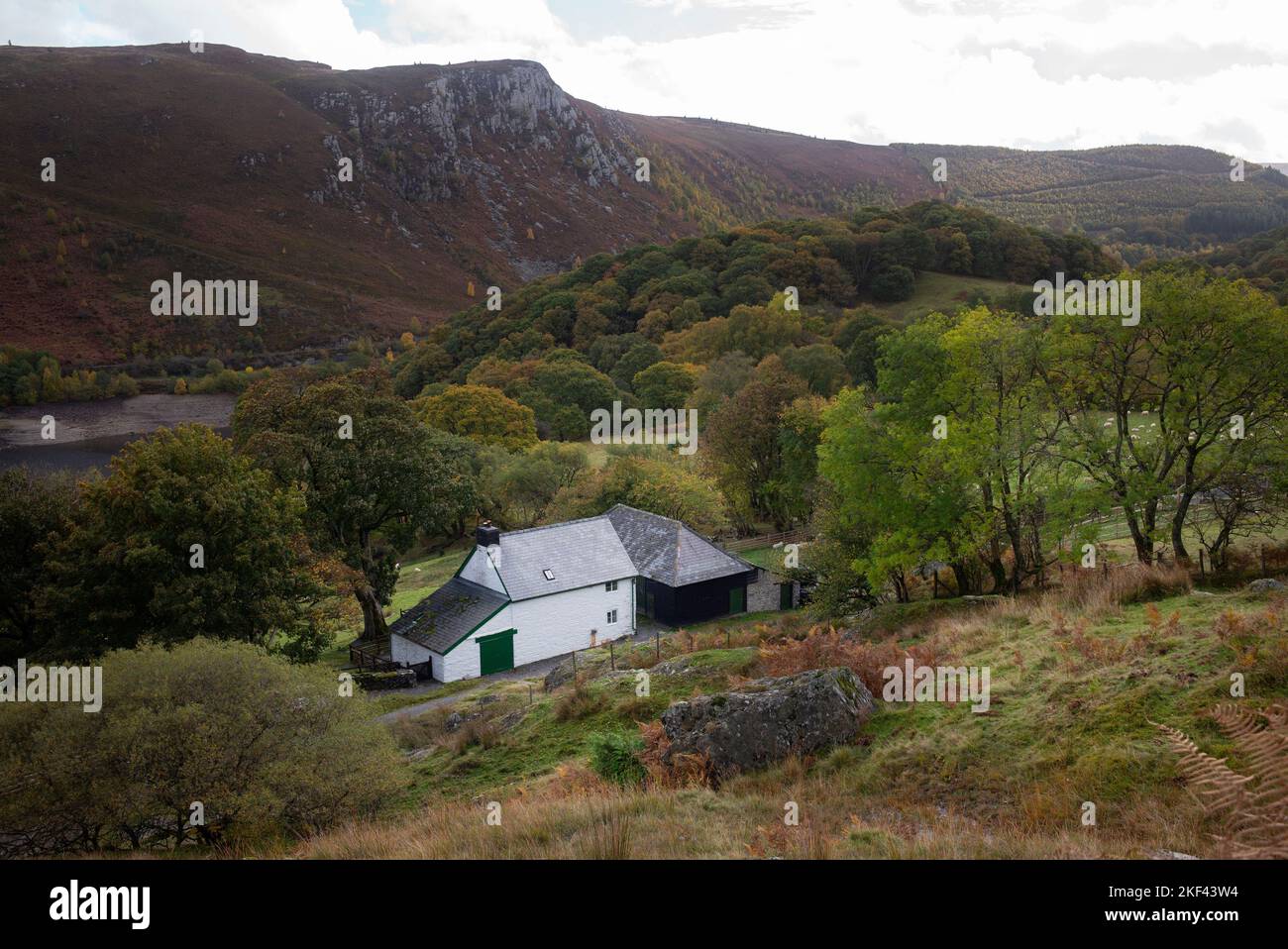 Die traditionelle walisische Schaffarm ist in Mittelwales weiß getüncht Stockfoto