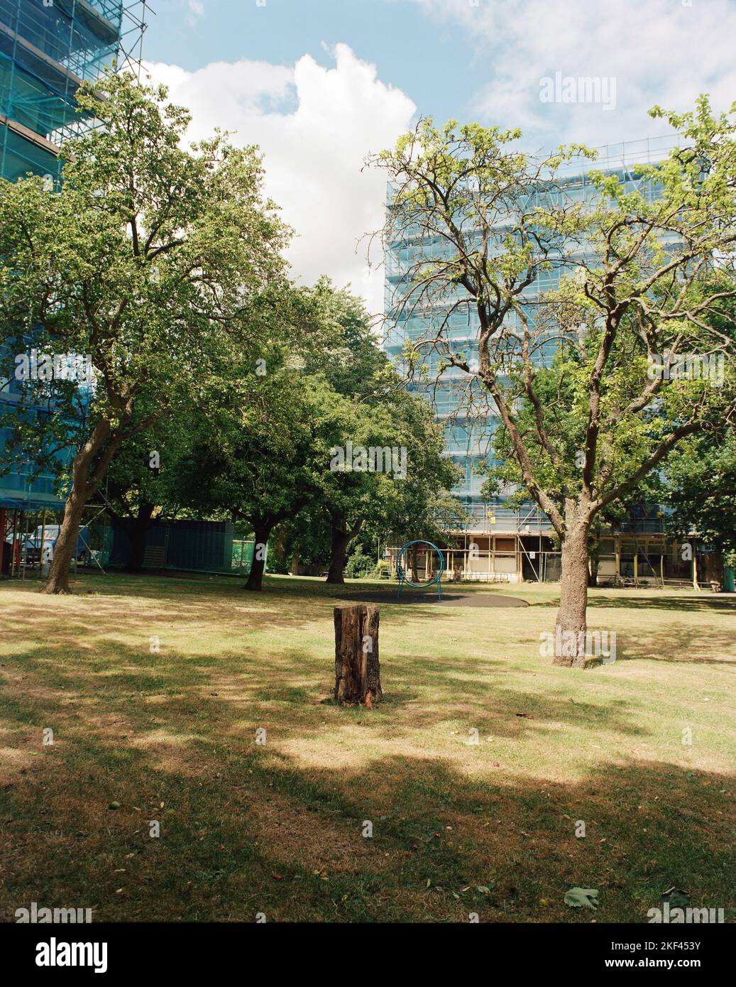 Ein Baumstumpf in einer offenen Grünfläche in lewisham, wo Sozialwohnungen in Hochhäusern saniertwerden. Stockfoto