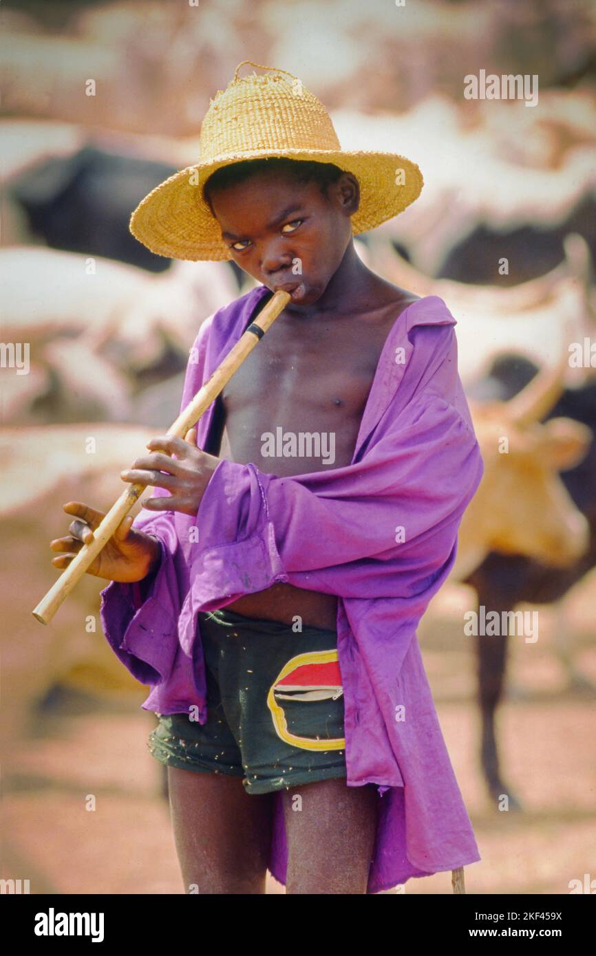 Burkina Faso, Piela; Porträt eines Herdsjungen, der eine Flöte spielt, mit Kühen im Hintergrund. Stockfoto