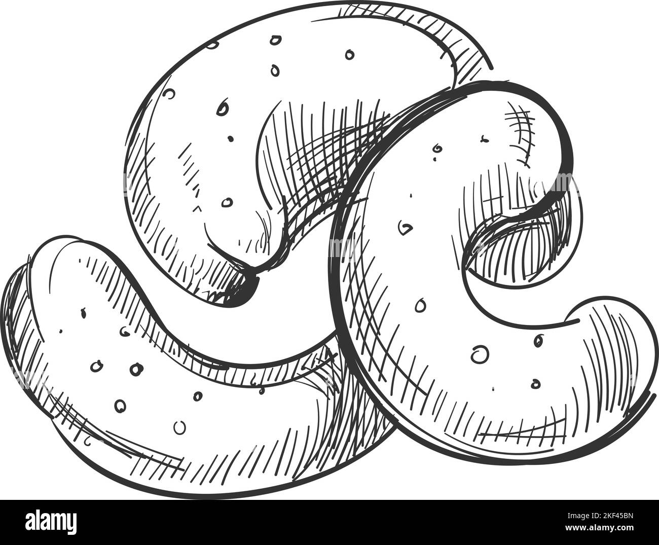 Cashew im Gravurstil. Handgezogene Nüsse Snack Stock Vektor