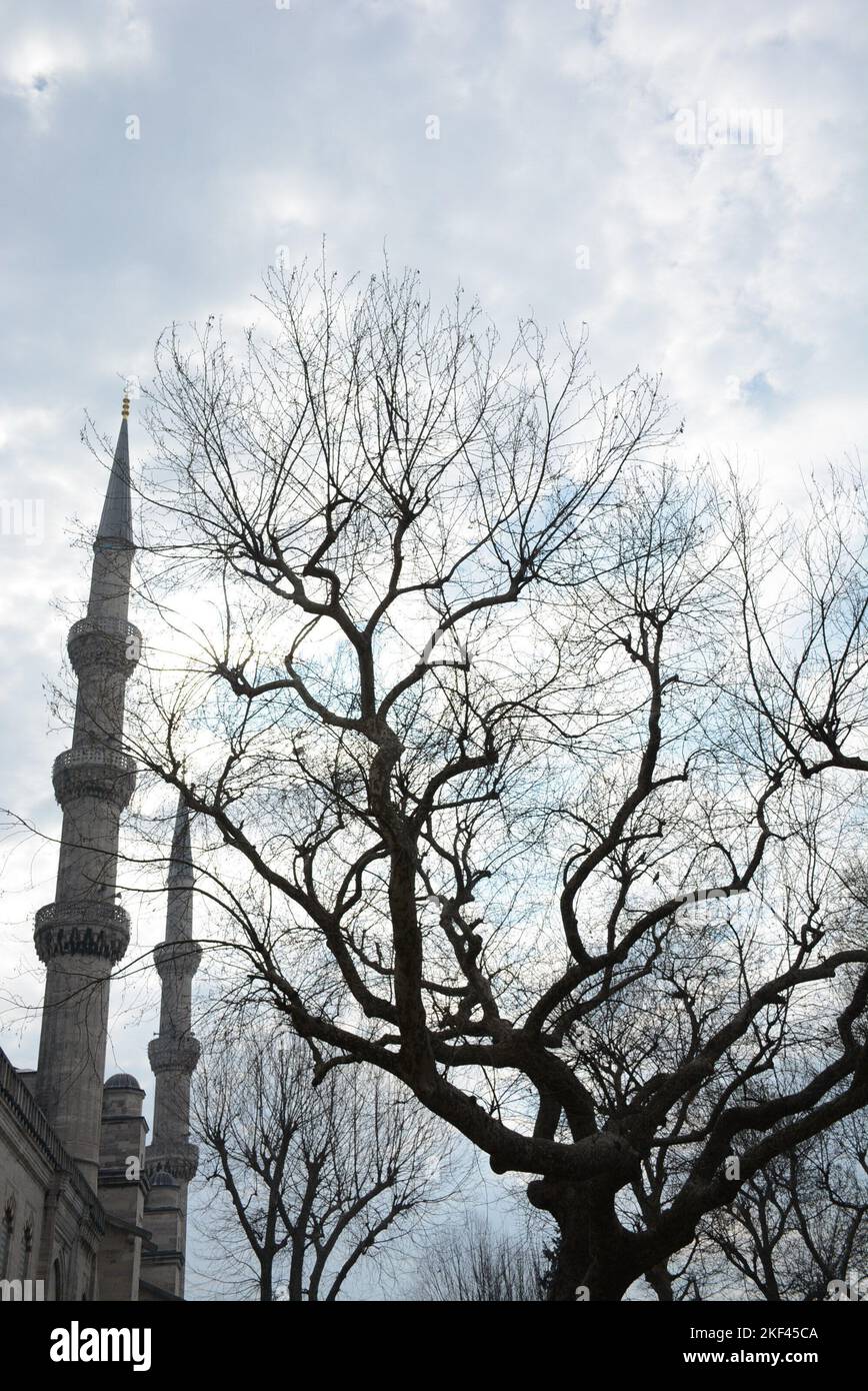 Außerhalb der Universität Istanbul und Hagya Sophya mehr draußen Stockfoto