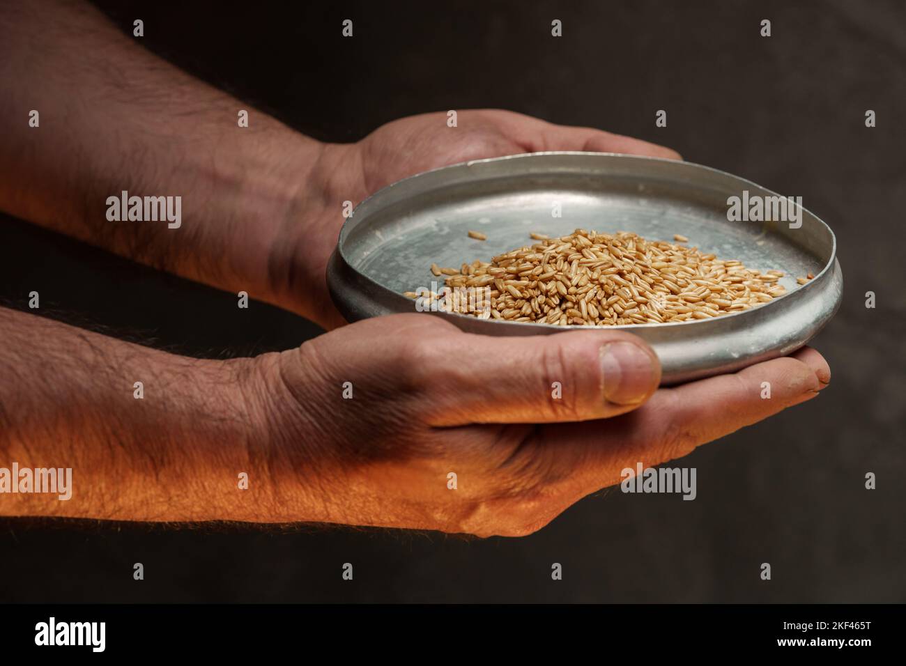 Nahaufnahme der männlichen Hände, die eine kleine Menge Weizenkerne halten. Mangel an Nahrung und Hunger-Konzept Stockfoto