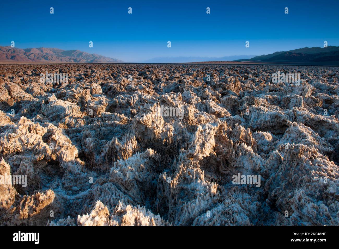 Morgenlicht am Devil's Golf Course, Death-Valley-Nationalpark, Kalifornien, USA, Nordamerika Stockfoto