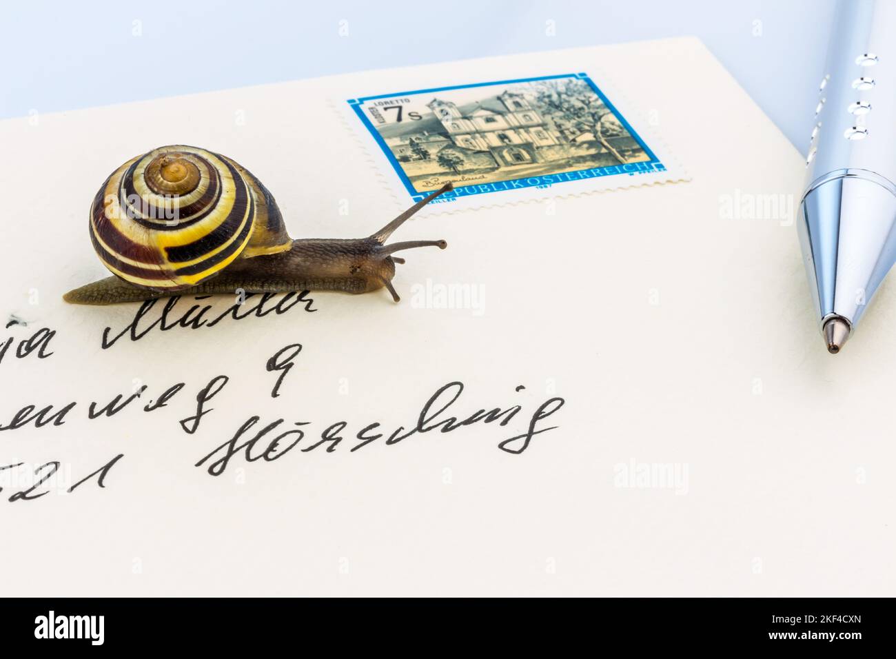 Schneckenpost, eine Schnecke schreicht auf einem Briefumschlag, Symbolfoto, Stockfoto
