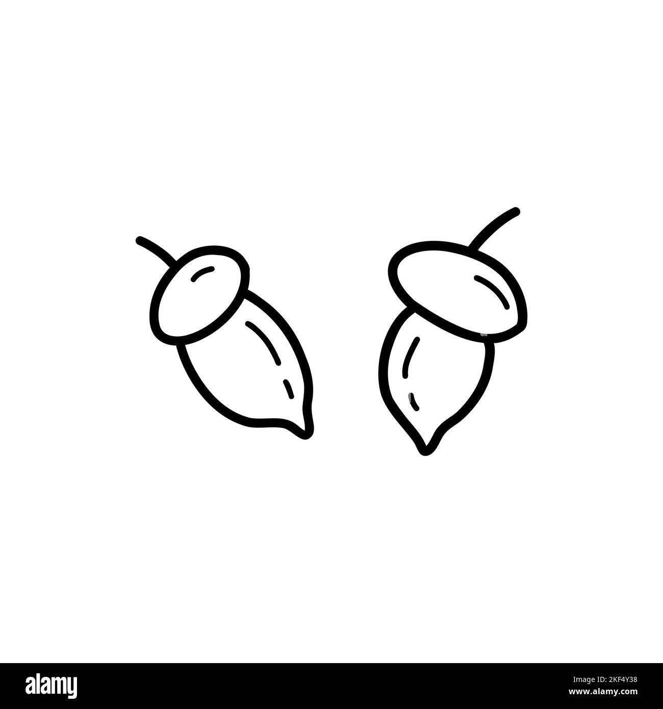 Niedliche Eicheln auf weißem Hintergrund. Schwarz-Weiß-handgezeichneten Vektor isoliert Illustration Doodle. Designelement. Herbstsaison. Eichenholzkarte oder -Druck Stock Vektor