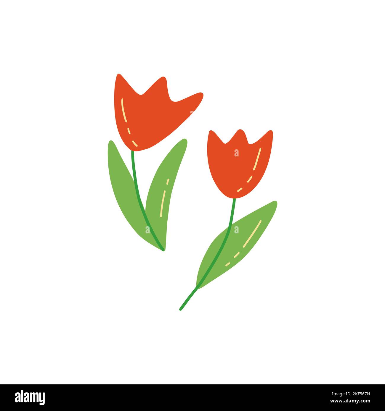 Zwei rote, scharlachrote Tulpen. Bunte Vektor isolierte Illustration im Doodle-Stil. Handgezeichnete Frühlingsblumen, Weihnachtskarte oder Druck. Romantisches Design Stock Vektor