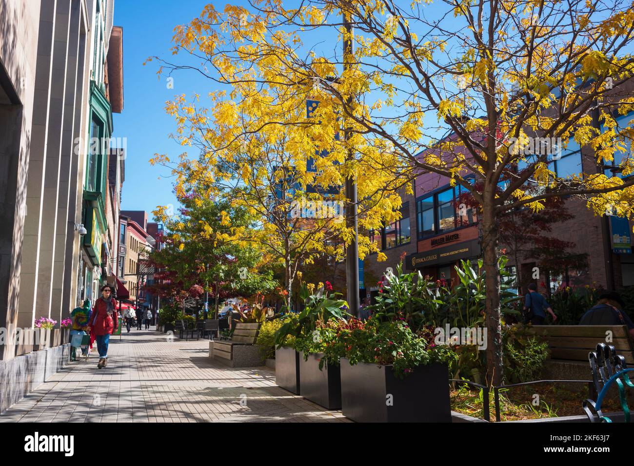 Ithaca, NY, USA - 24. Okt 2022: Die Innenstadt von Ithaca Commons, die hier während der Herbstsaison zu sehen ist, ist ein vier Blocks weiter, nur für Fußgänger, wo sich ein einzigartiger Laden befindet Stockfoto