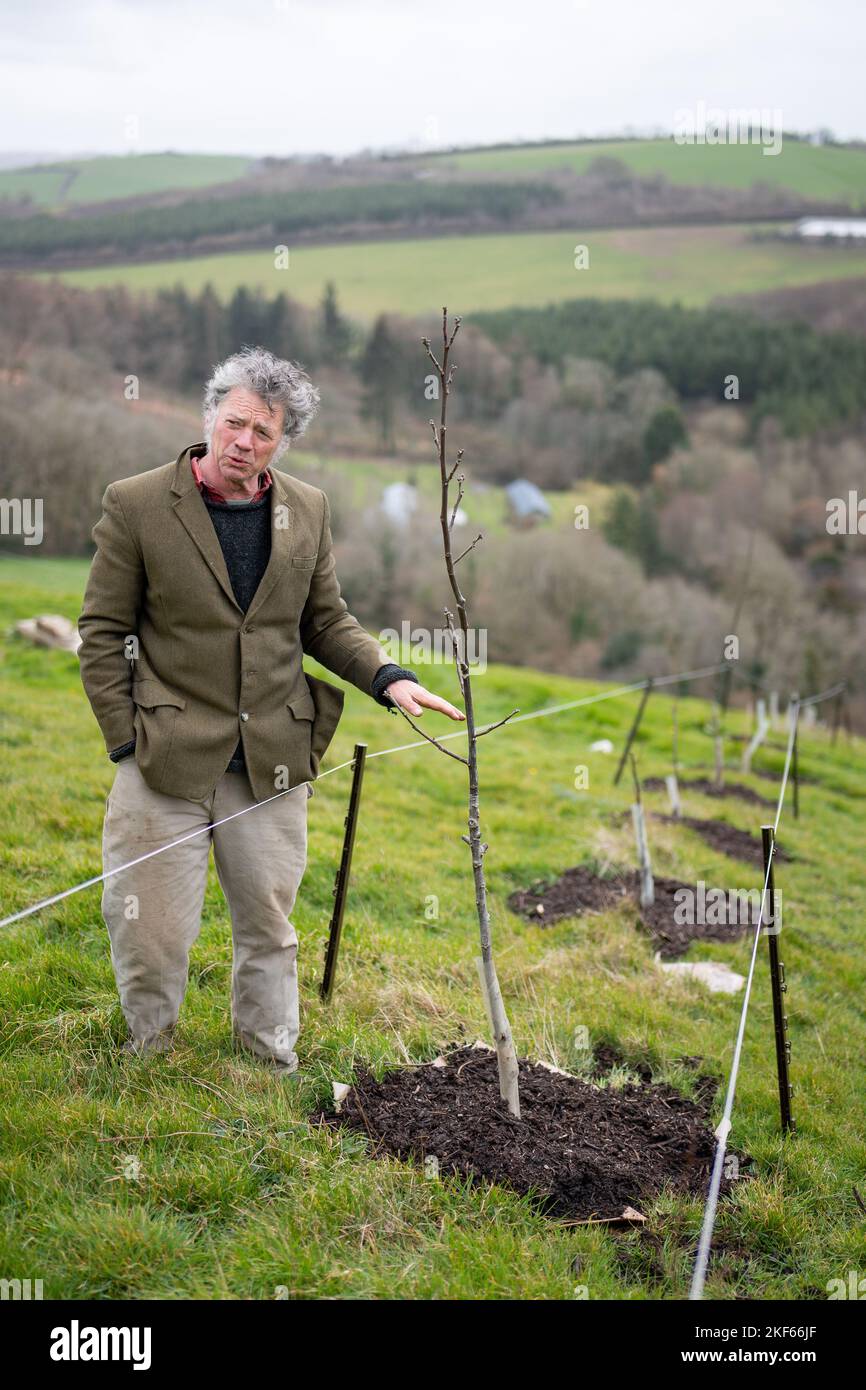 Bio-Bauer Guy Singh-Watson, abgebildet auf der Riverford Organic Farm, in der Nähe von Totnes, South Devon. Stockfoto