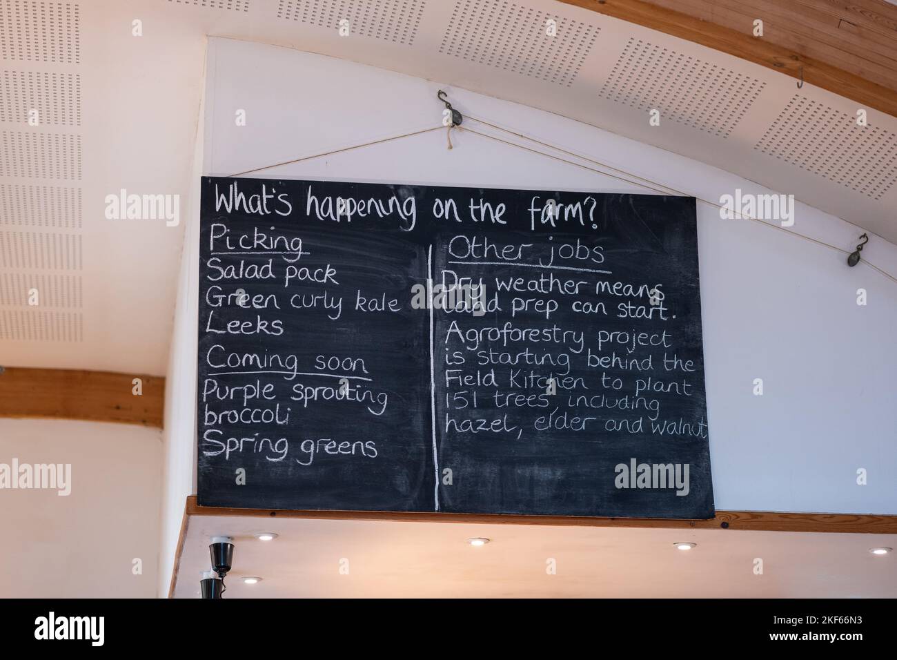 Bio-Bauer Guy Singh-Watson, abgebildet auf der Riverford Organic Farm, in der Nähe von Totnes, South Devon. Stockfoto