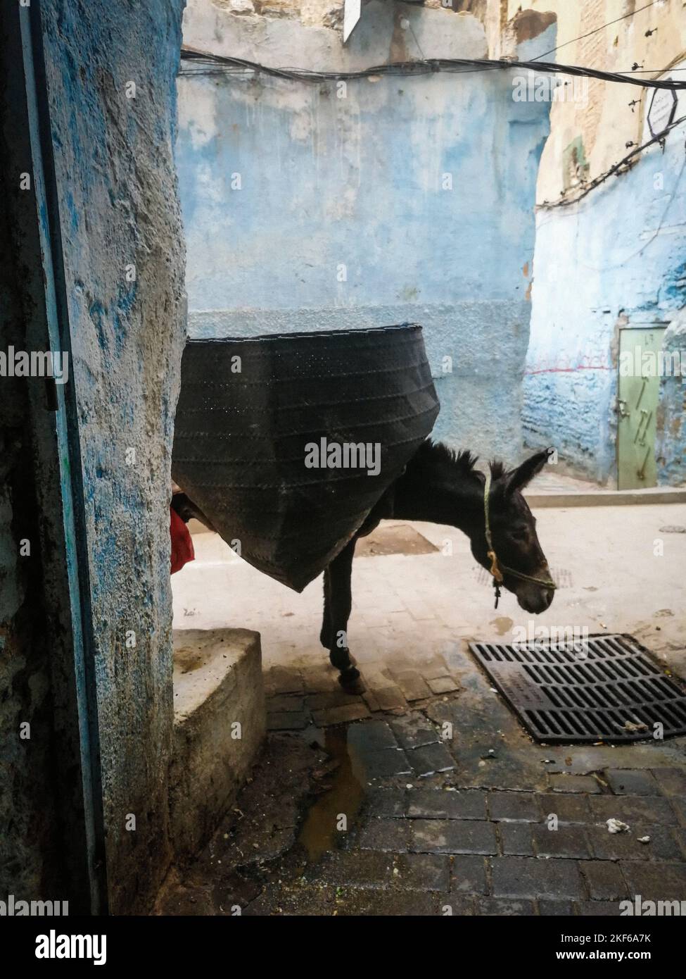 Marokko, Fes, Sammlung kommunaler Abfälle Stockfoto