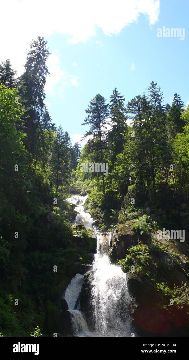 Triberg Wasserfall Schwarzwald Deutschland Wald Großer Blauer Himmel Stockfoto