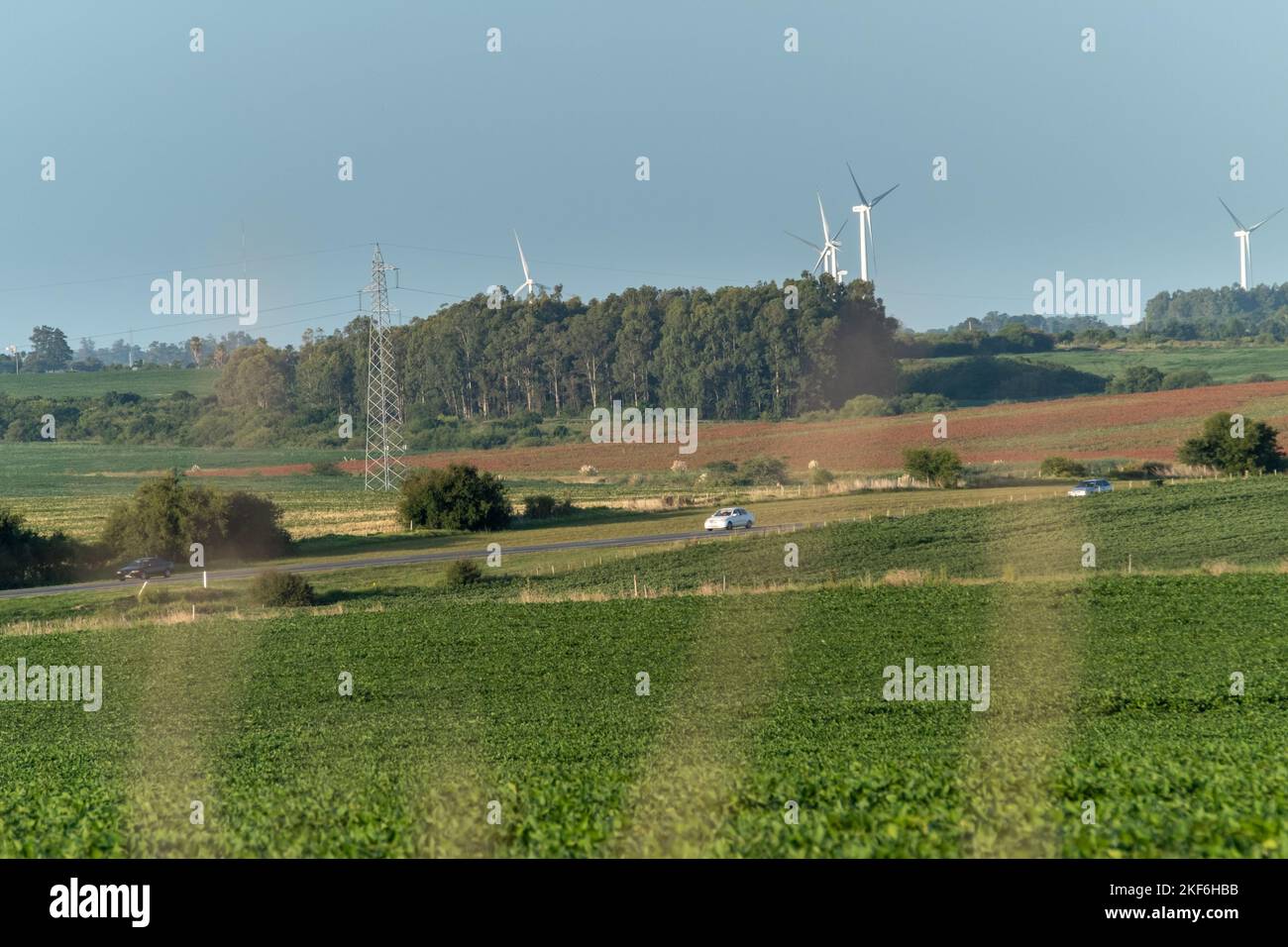 Sojabelder mit einer Straße mit Autos und einer Windmühlenfarm am Horizont. Einige Pflanzen mit rosa Blüten sind im Vordergrund zu sehen Stockfoto