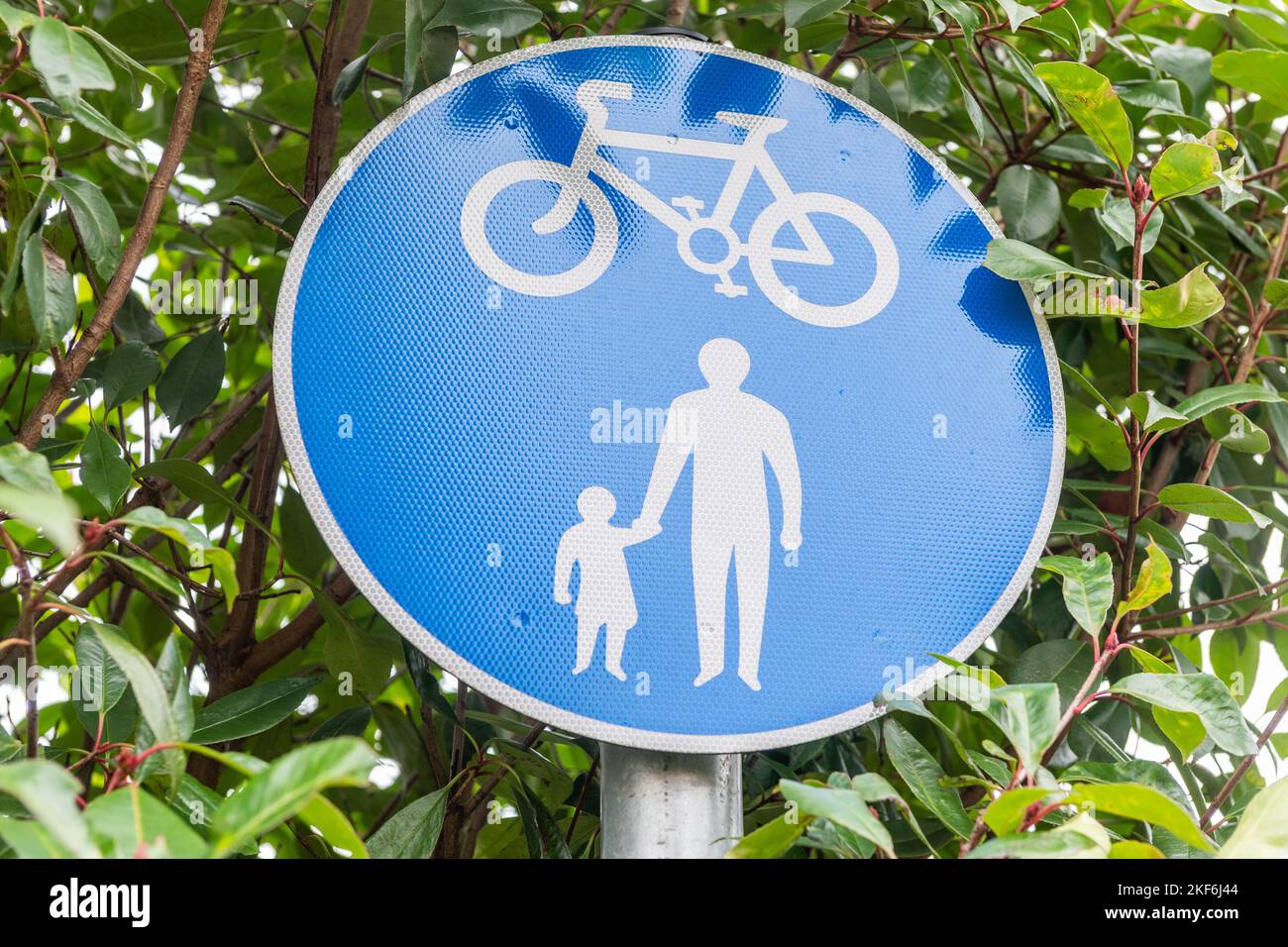Fahrräder und Fußgänger nur Schild mit einem Hintergrund von Blättern auf dem Kanal in Coventry, West Midlands, Großbritannien. Stockfoto