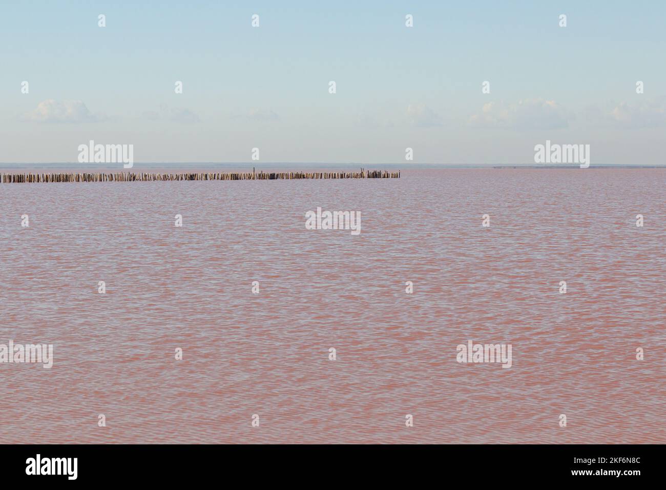 Ufer des Pink Salt Lake. Der Sivash-See, der seit der Antike für seine nützlichen, heilenden Eigenschaften bekannt ist. Stockfoto