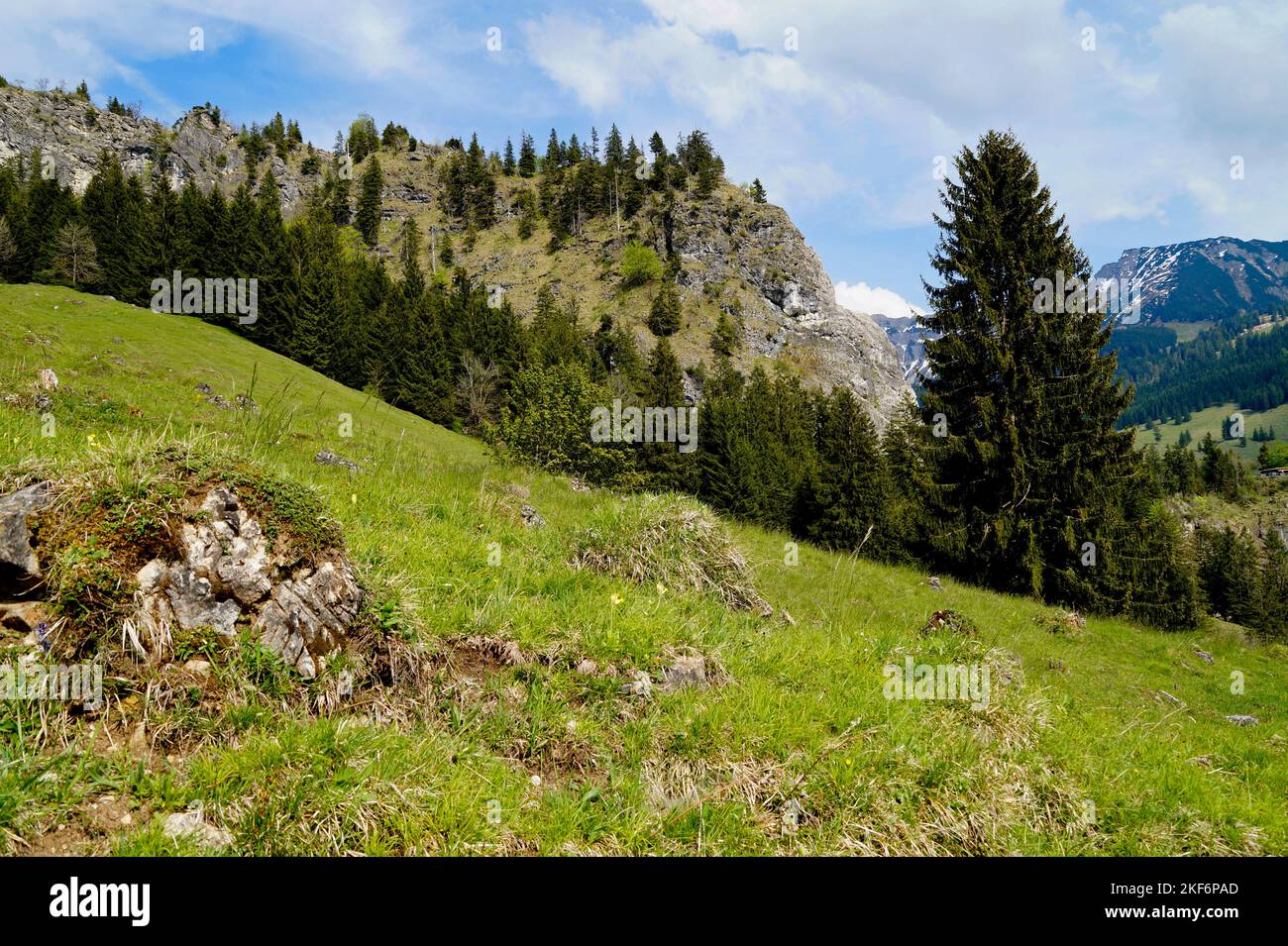 alpenblick von einem Wanderweg in die landschaftlich schönen, sonnendurchfluteten bayerischen Alpen vor dem klaren blauen Himmel an einem schönen Frühlingstag im bayerischen Oberjoch ( Stockfoto