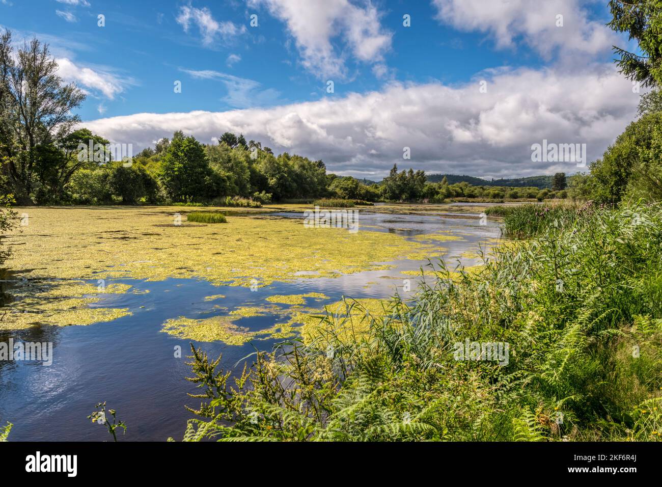 Morton Lochs im Tentsmuir National Nature Reserve in Fife, Schottland. Stockfoto