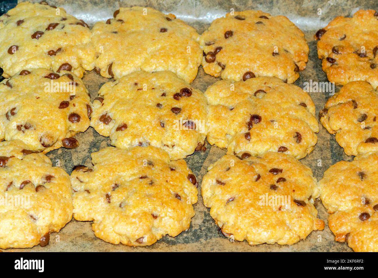 Kekse gebacken mit Schokoladenstückchen. Seitlich schräg angeordnete Makrofotografie von frisch gekochten Kuchen auf der Ofenplatte Stockfoto