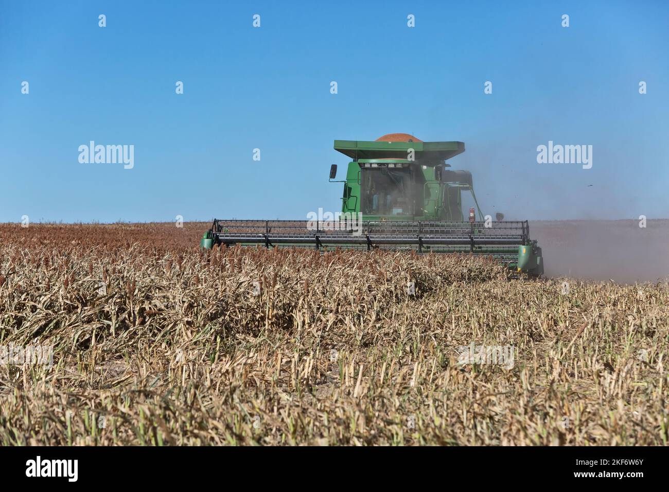 John Deere Mähdrescher 9550, Landwirt bei der Ernte von milo „Grain Sorghum“, „Sorghum vulgare“, Trego County, Kansas. Stockfoto