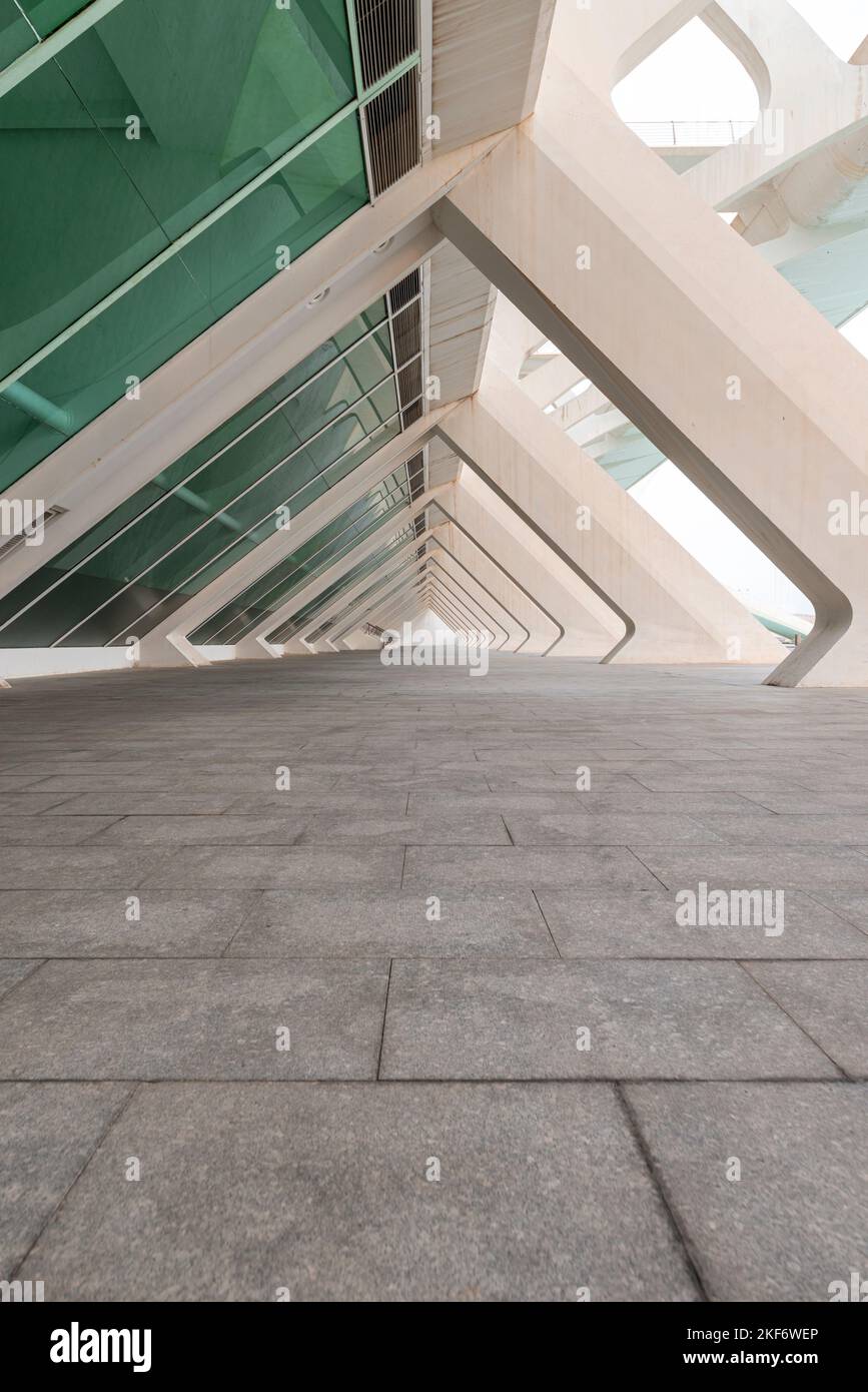 Das Äußere des Wissenschaftsmuseums in Valencia, Spanien. Stockfoto