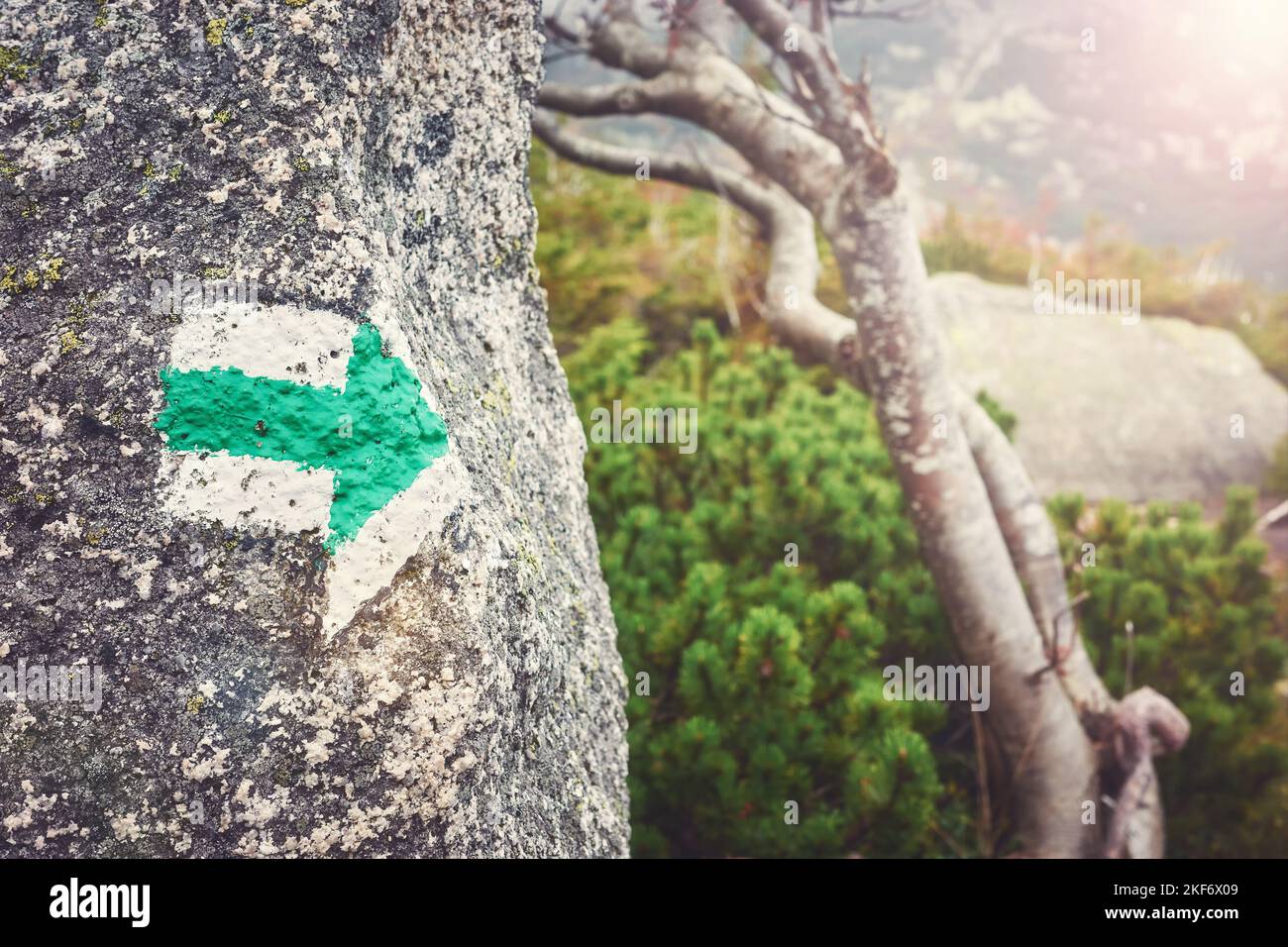 Grüne Spur Markierung Pfeil auf einem Felsen gemalt, Farbtonung angewendet, selektiver Fokus. Stockfoto