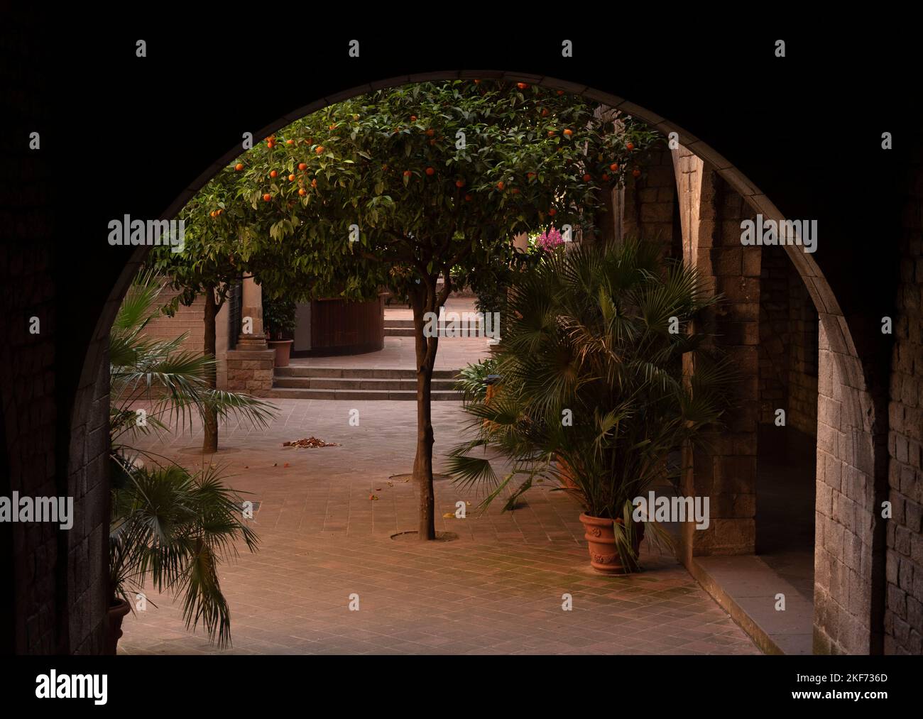 Schöner mediterraner Orangengarten durch den Bogen im Gotischen Viertel von Barcelona Stockfoto